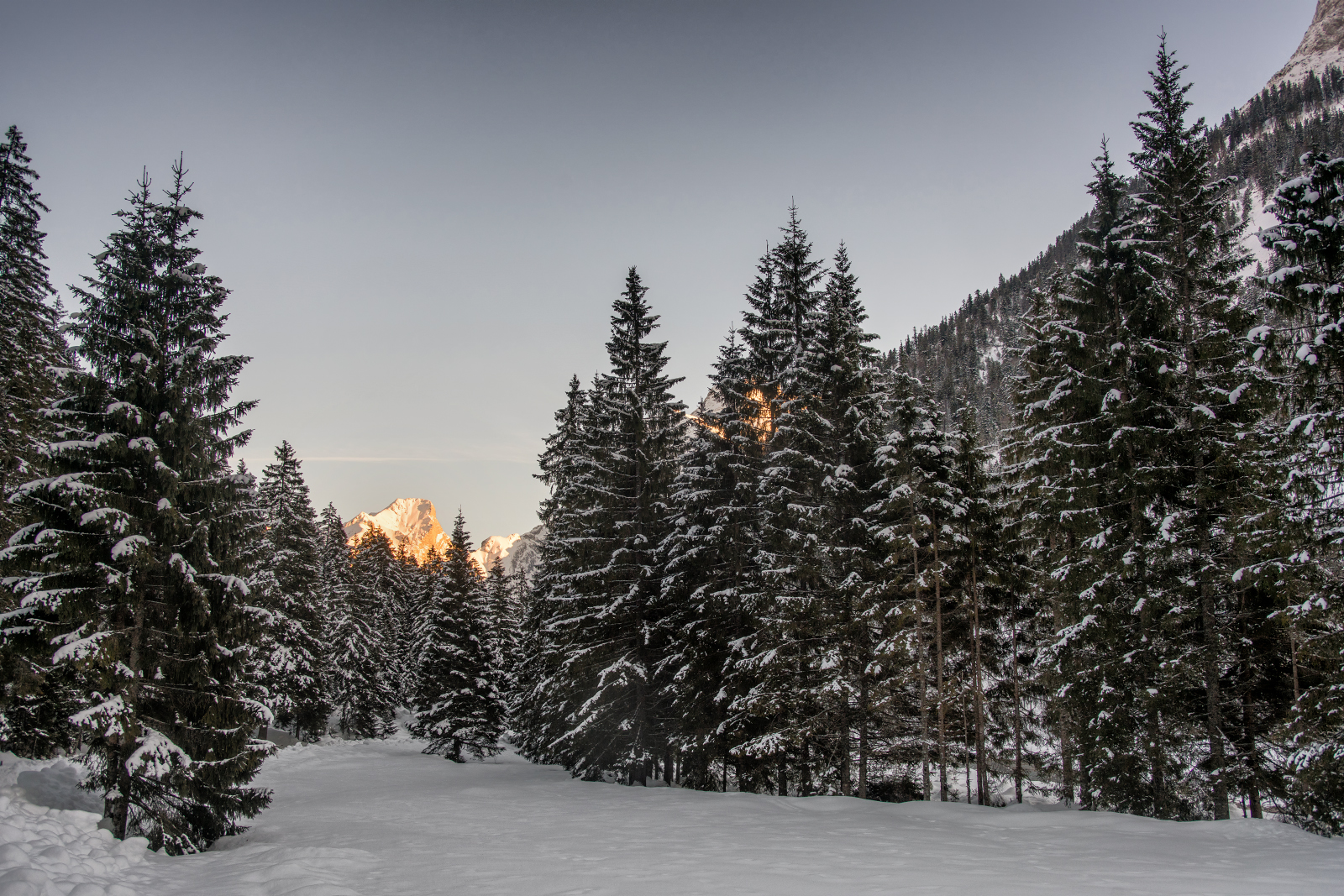 Letzte Sonnenstrahlen im Rißtal