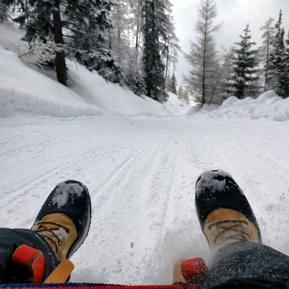 Lehnberghaus Rodelbahn