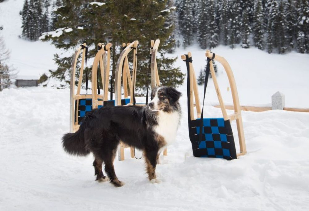 Die Rodeln warten schon auf uns.