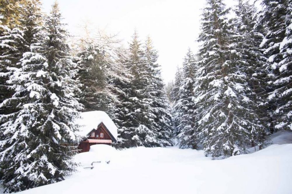 Vorbei an diesem Hexenhäuschen Foto: ©Lea Hajner