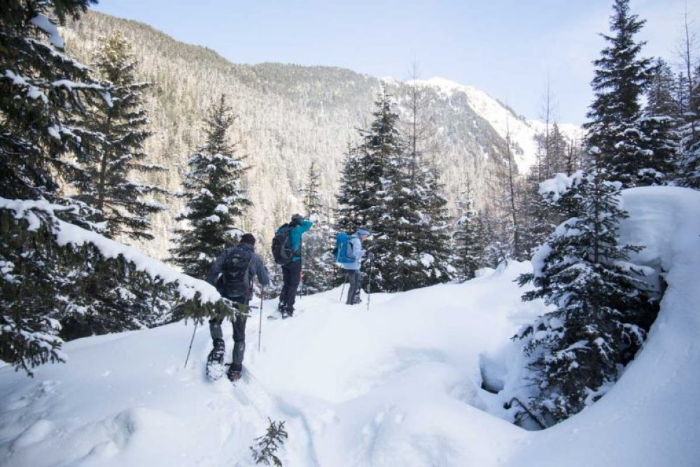 Auf und ab durch die schönste Landschaft. Foto: ©Lea Hajner