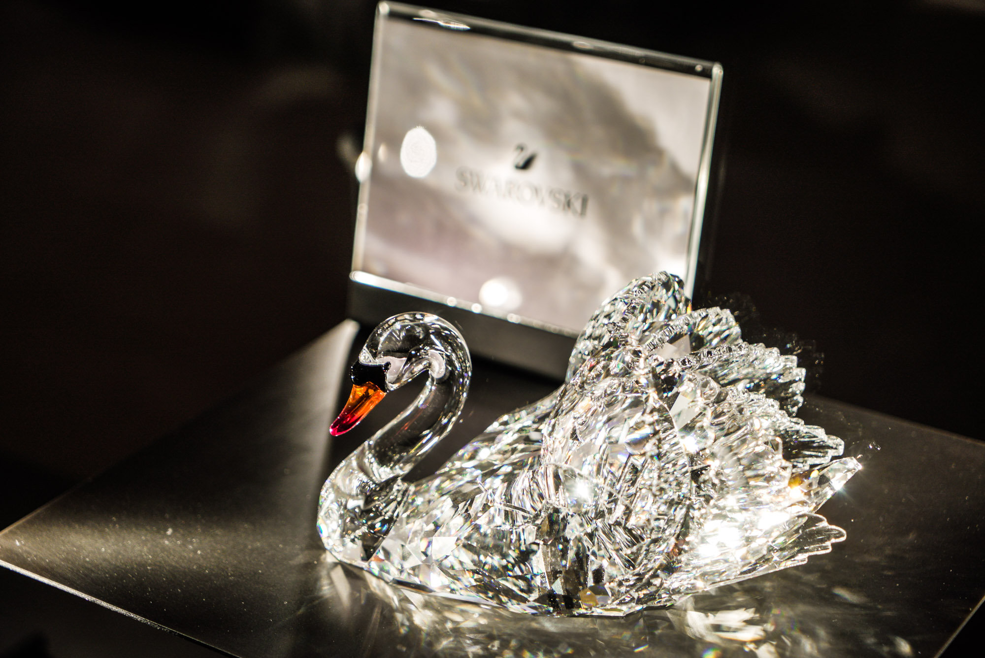 The Swarovski swan