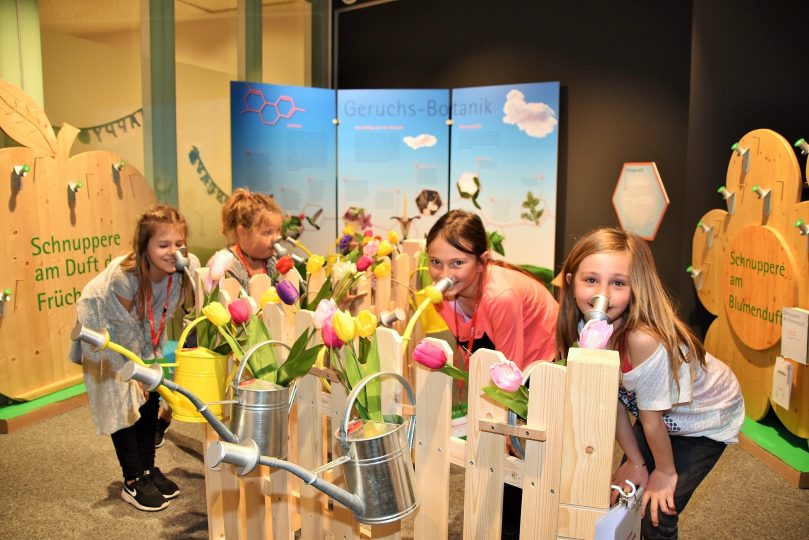 Sonderausstellungen, wie derzeit die der Geruchswelten, sorgen für Abwechslung. Foto: Tamara Kainz