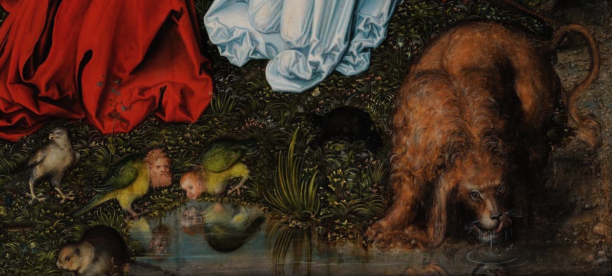 Dettaglio del San Girolamo di Cranach il vecchio (1525), in mostra a ‚Cranach natürlich‘ al Ferdinandeum di Innsbruck, Foto © TLM