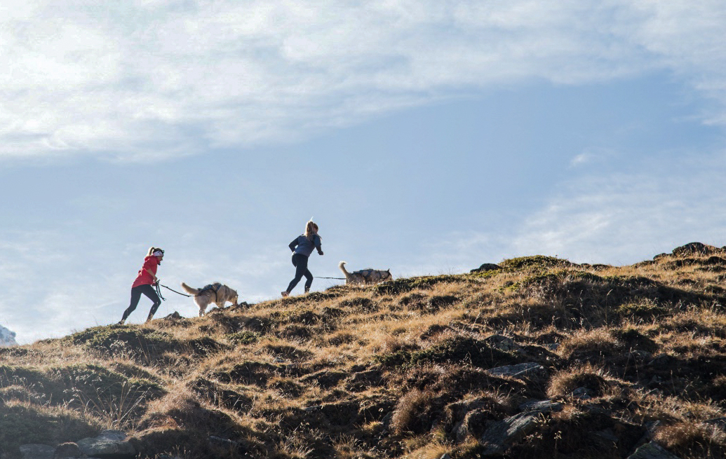 Bergläuferinnen auf Gratwanderung.