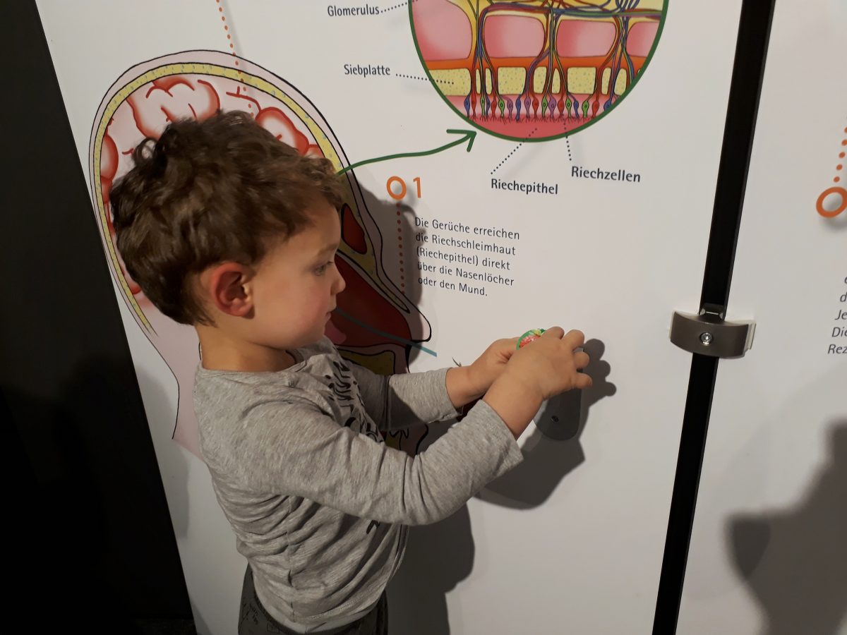 Sonderausstellung "Geruchswelten" im Audioversum