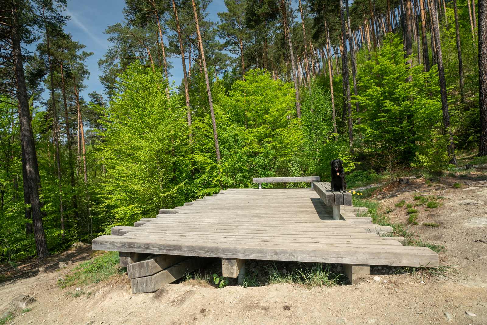 Ruheplattform am Panoramaweg Bergisel