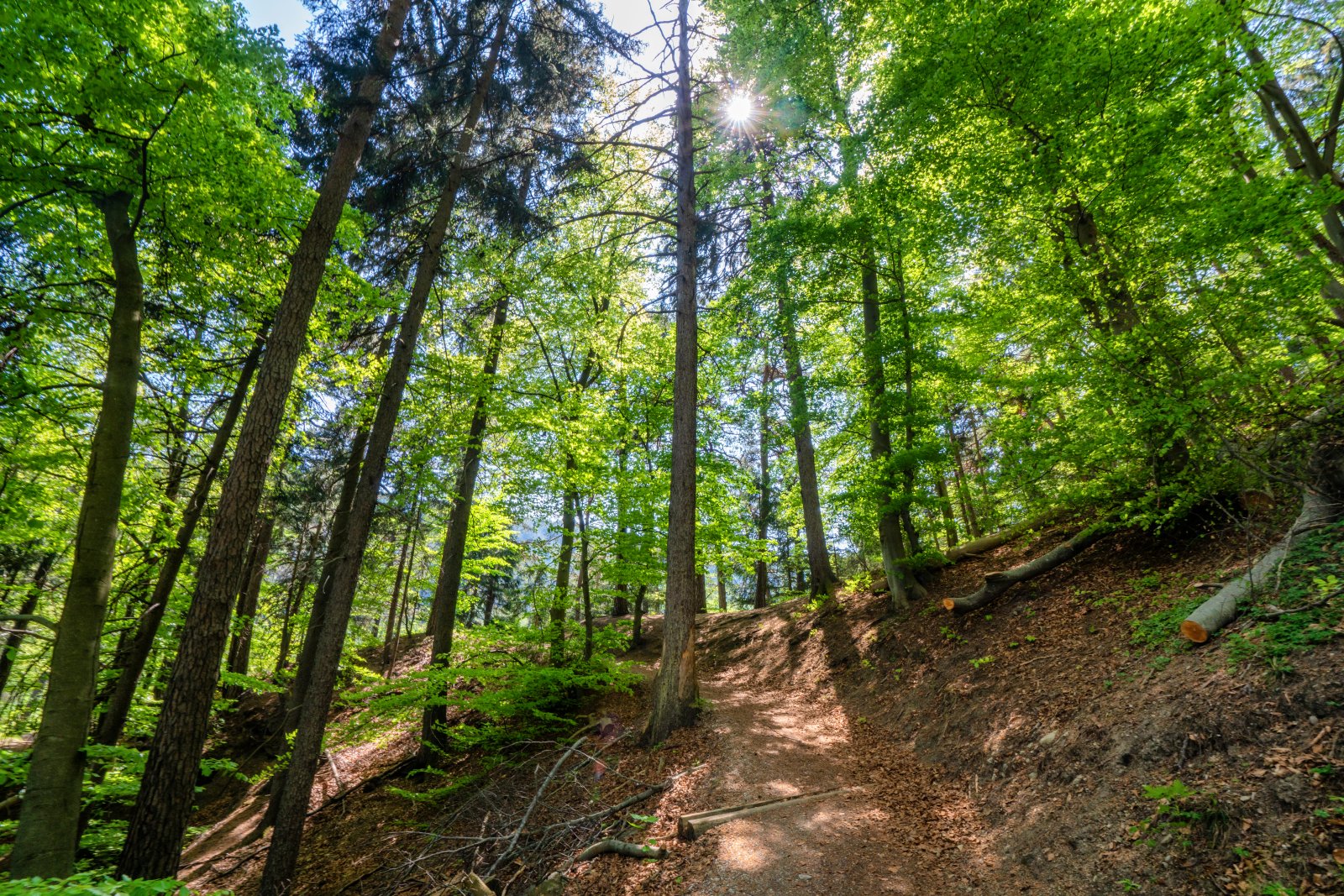 Bergisel Panoramaweg