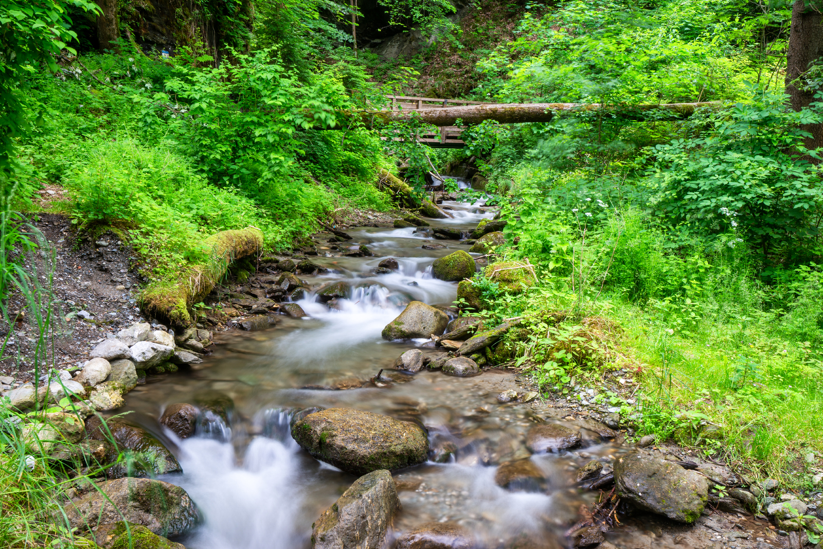 In der Sillschlucht