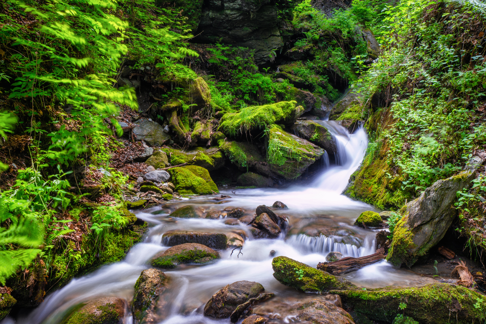 Bach in der Sillschlucht