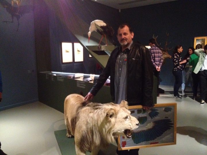 Peter Moras, tassidermista dei Tiroler Landesmuseen in mostra a ‚Cranach natürlich‘ al Ferdinandeum di Innsbruck, Foto © Laura Manfredi