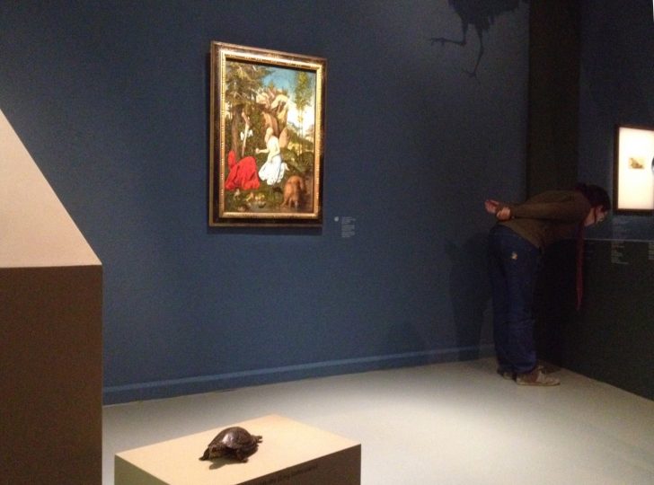 Curiosando tra le opere in mostra a ‚Cranach natürlich‘ al Ferdinandeum di Innsbruck, Foto © Laura Manfredi