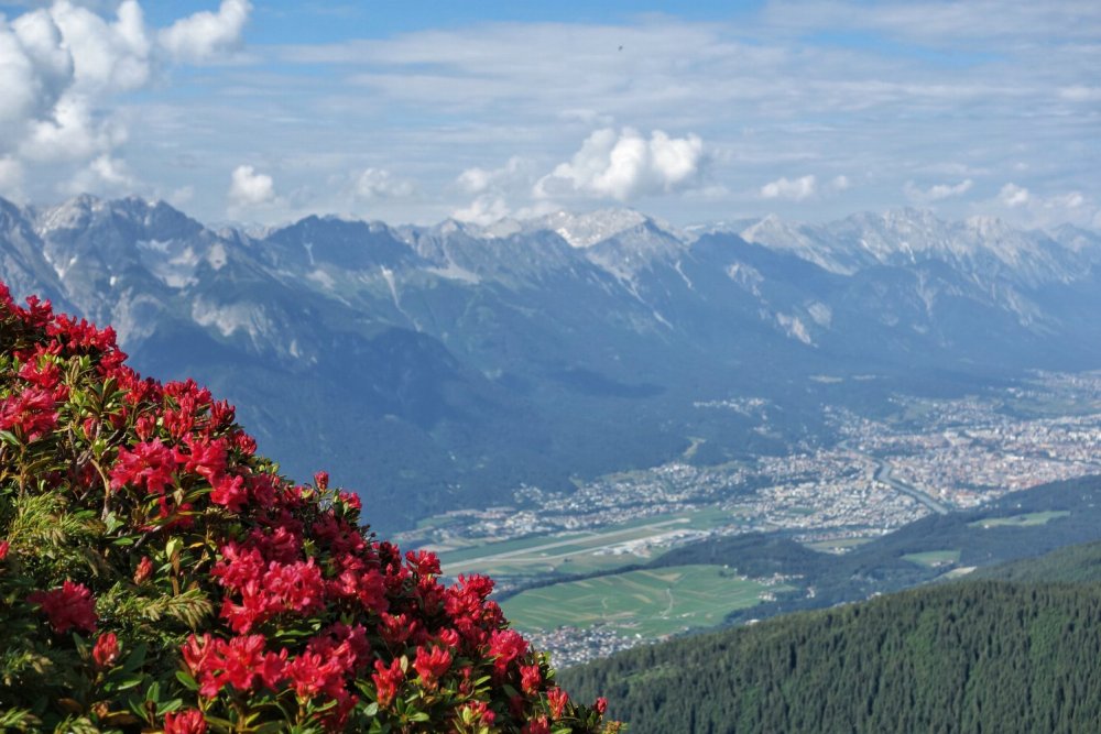 Blick auf Innsbruck