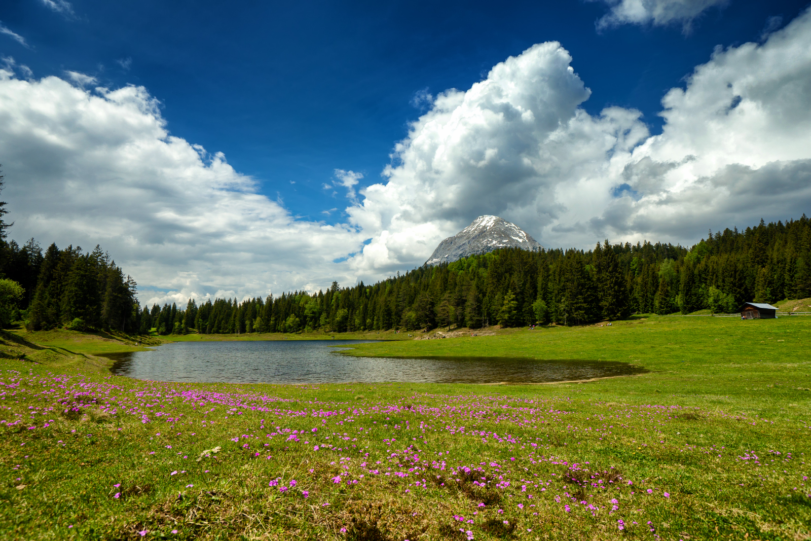 Wildmoossee