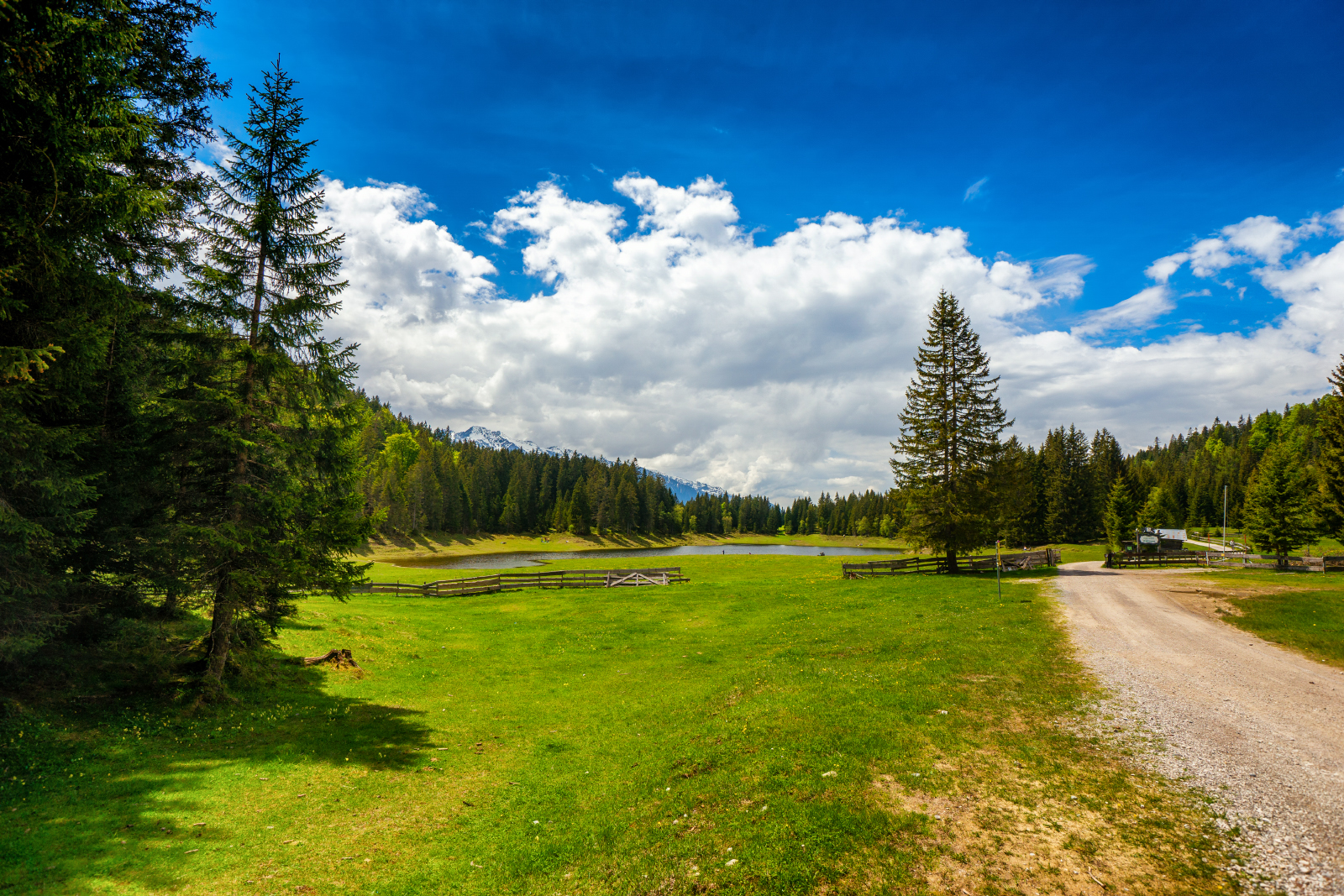 Wildmoossee