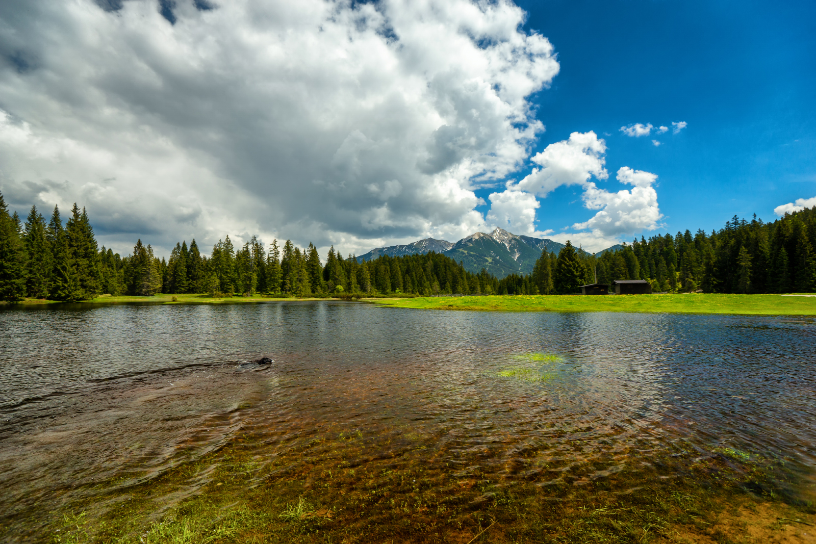 Wildmoossee