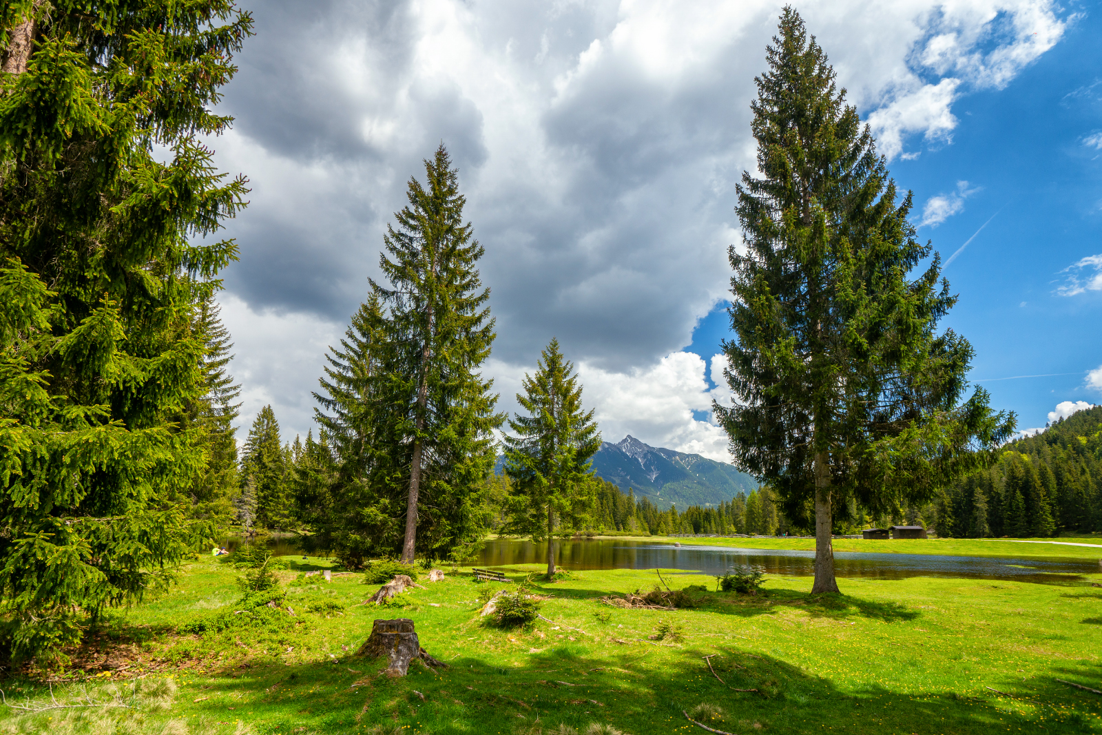 Wildmoossee mit Blick nach Norden