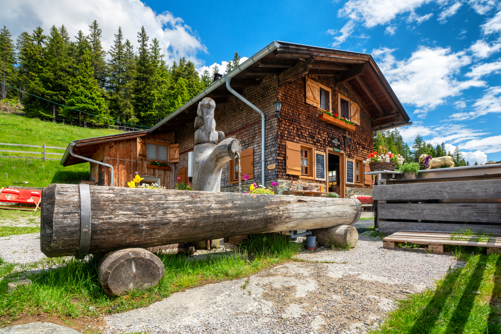 Patscher Alm im Sommer