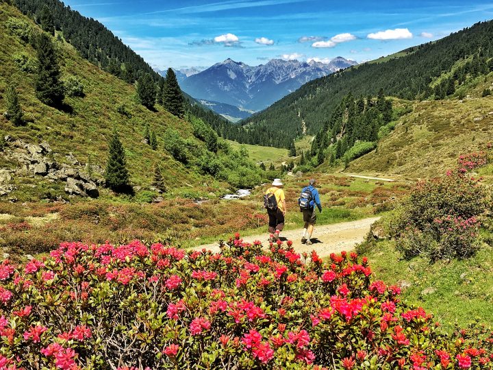 Das idyllische Fotschertal – hier verweist Werner auf steinzeitliche Spuren. Foto: Werner Kräulter