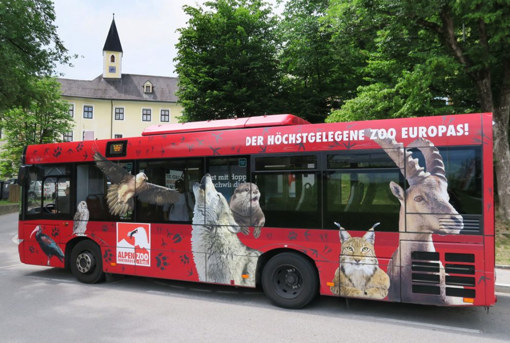 © Ichia Wu - Alpenzoo Bus