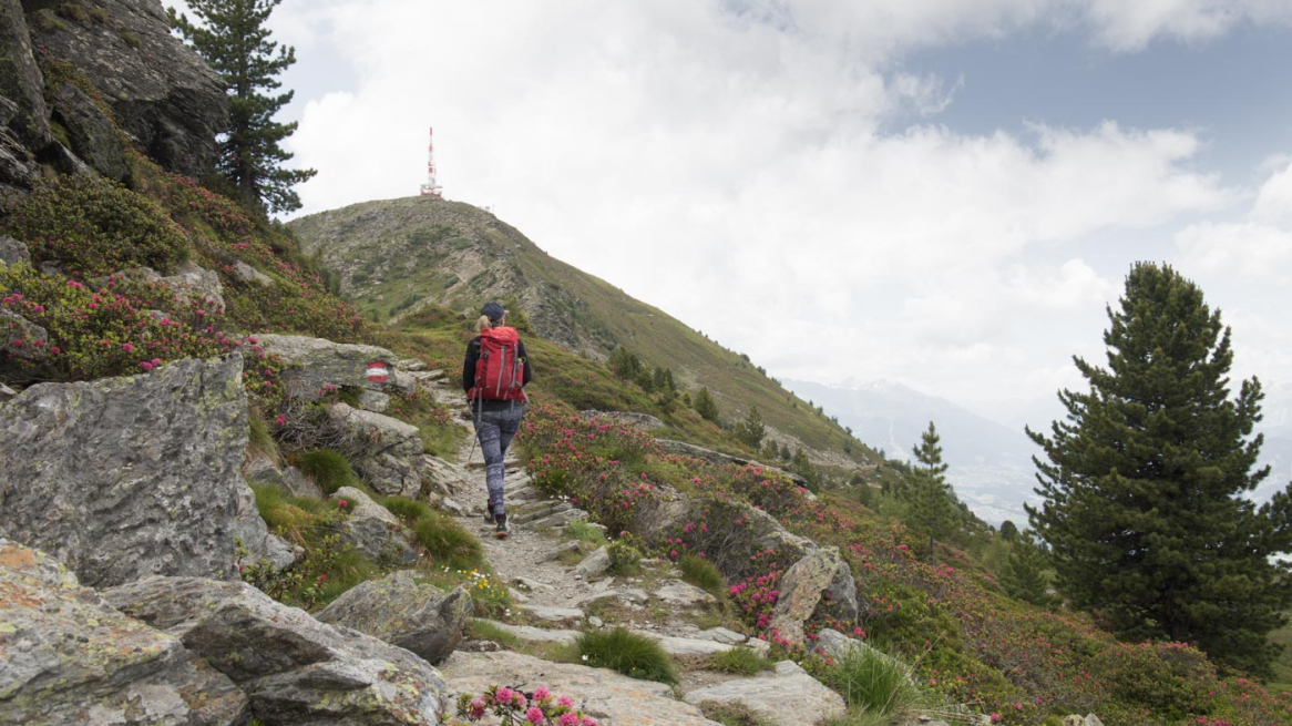 Jochleitensteig_Patscherkofel_LeaHajner-23