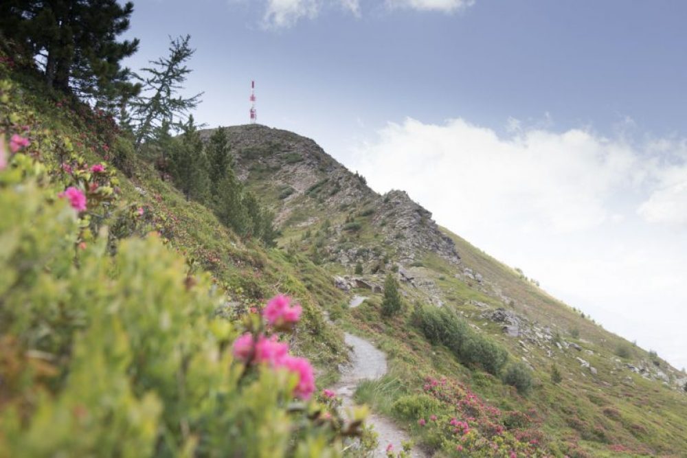 Nun führt der Weg zurück und links um den Gipfel herum.