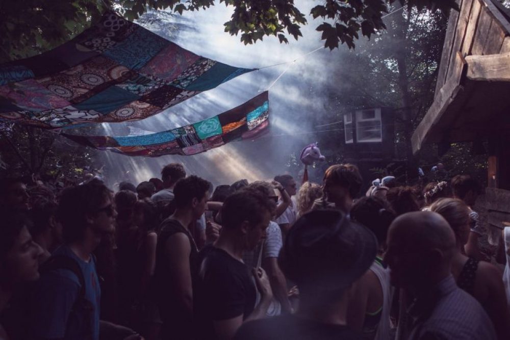 Märchenhafte Stimmung im Bonanza-Wirrgarten.