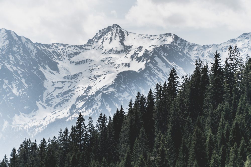 Hiking to Neue Alplhütte // myinnsbruck