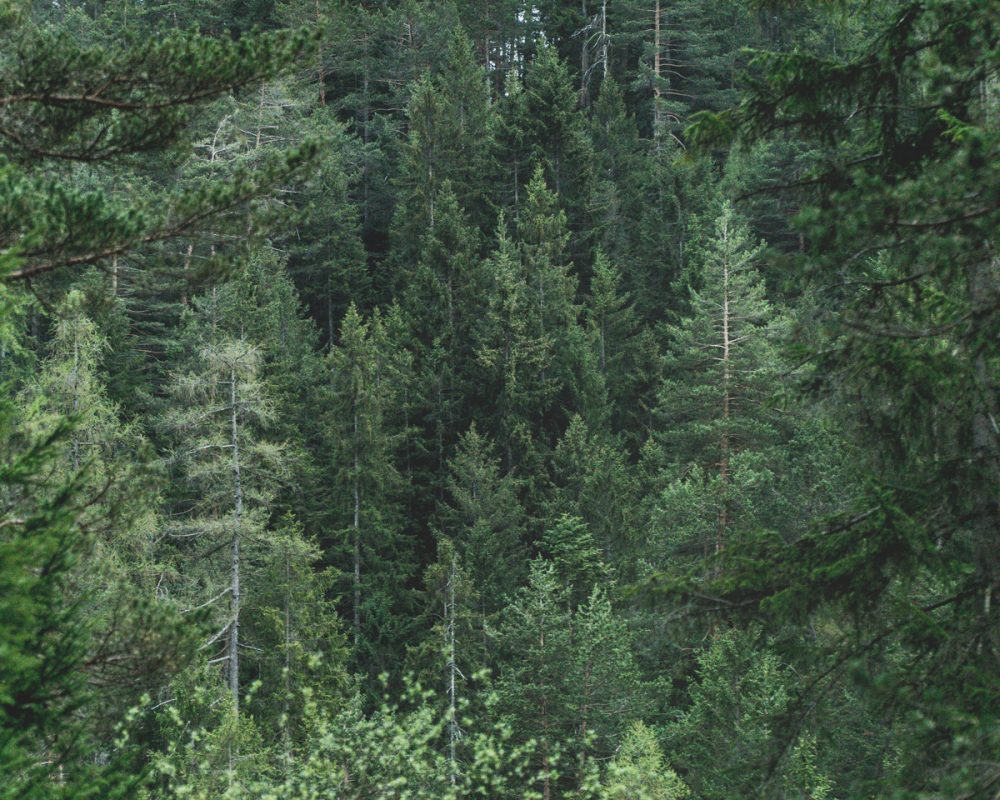 Hiking to Neue Alplhütte // myinnsbruck