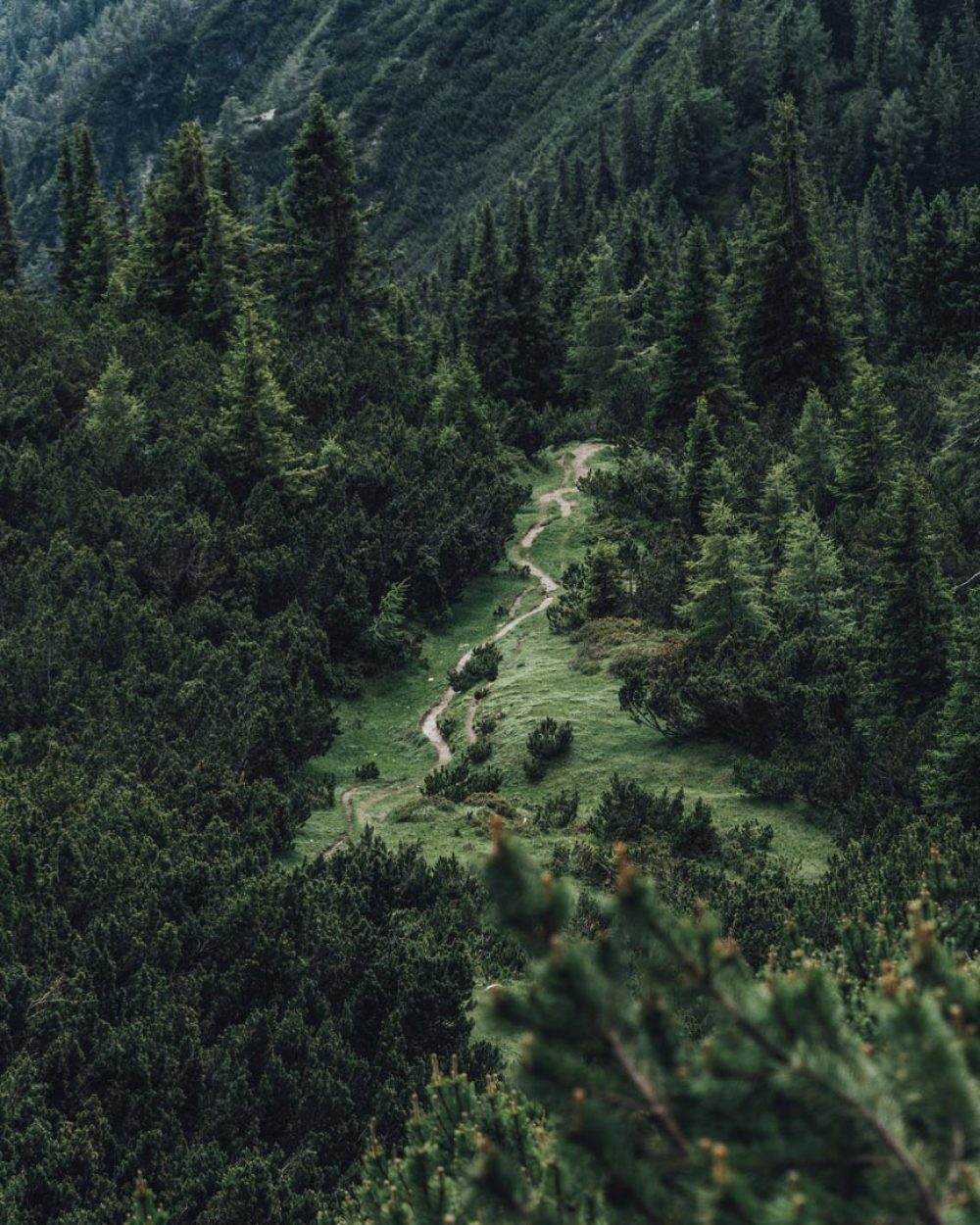 Wankspitze hiking trail. You come up this way. Or is it down?