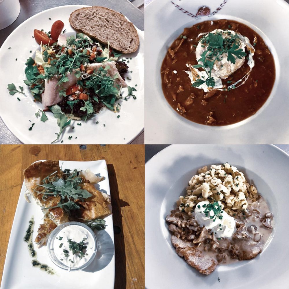 Hiking to Neue Alplhütte // myinnsbruck