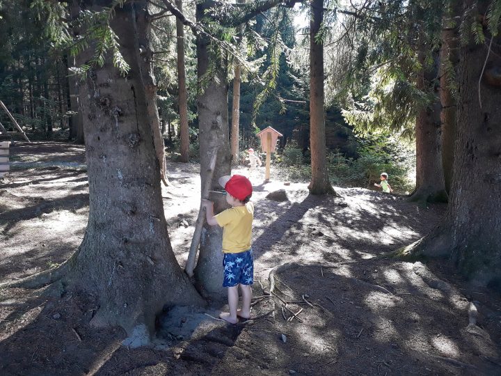 Junge spielt im Wald