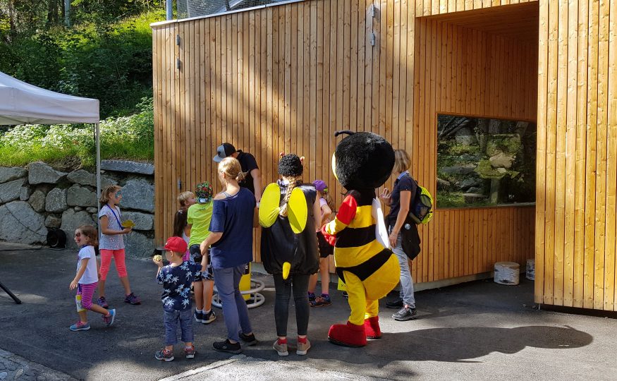 Life-Radio Bienen-Quiz