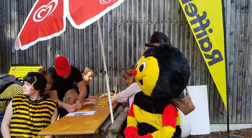 Das Maskottchen Sumsi bastelt eine Bienenwachskerze