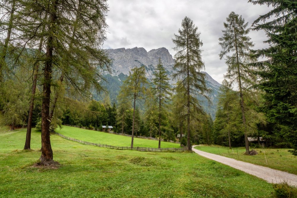 Hohe Munde