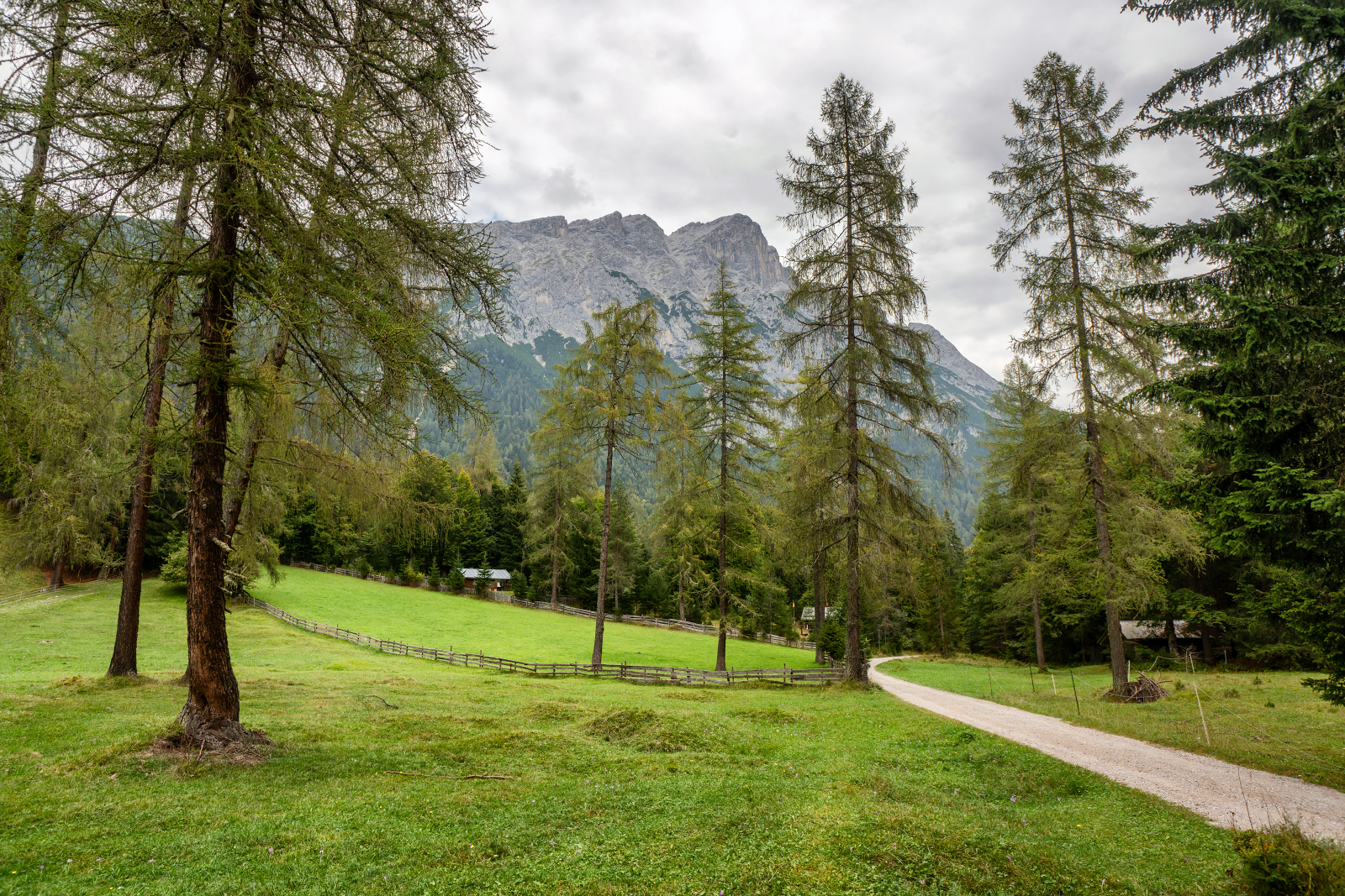 Hohe Munde