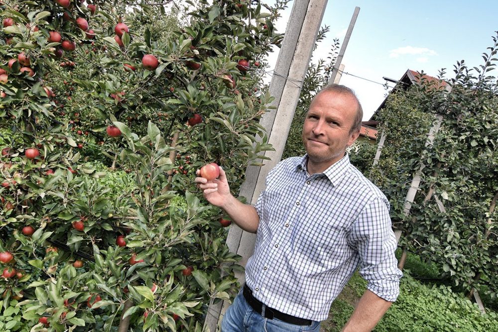 Schnaps, Schnappsbrenner, Innsbruck