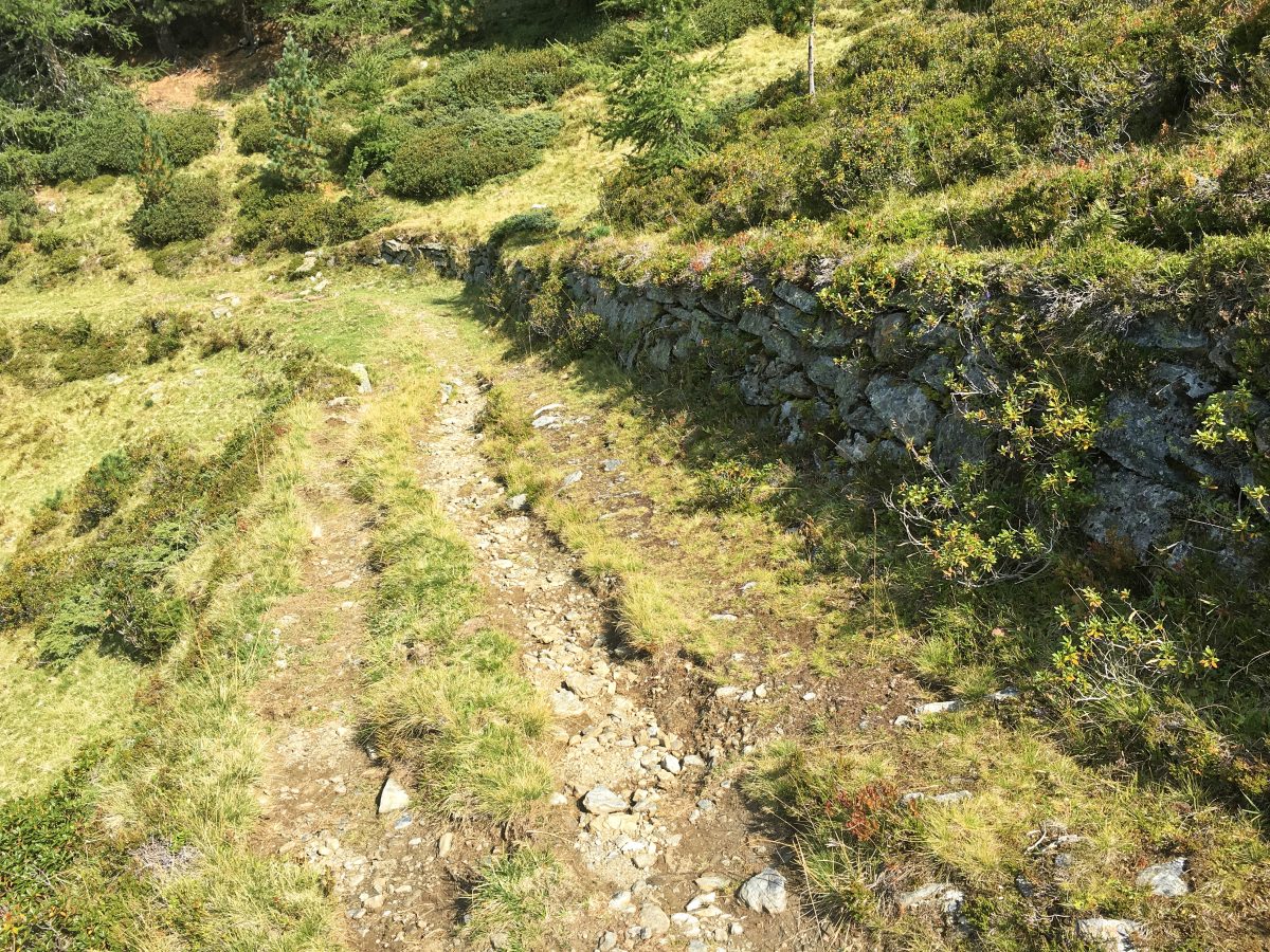 Wegtrasse Viggartal