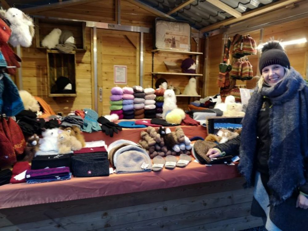 Stand Alpakawolle am Bergisel