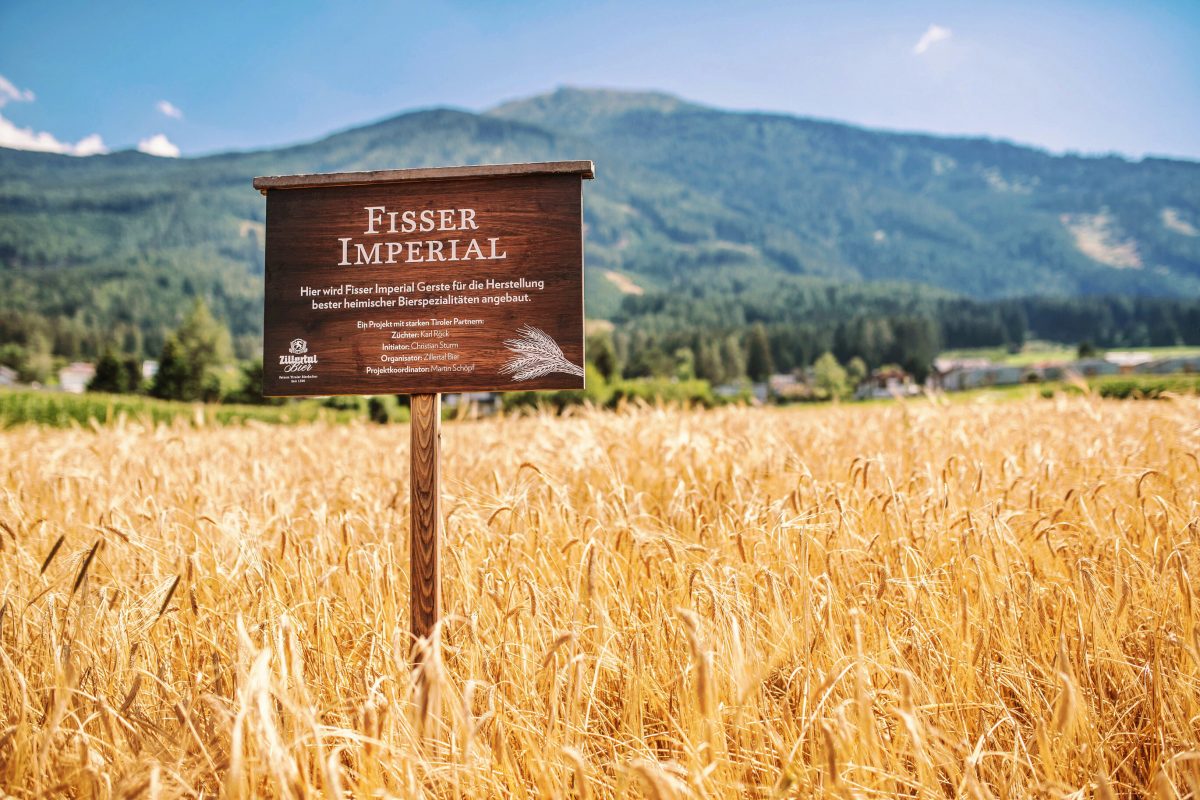 Fisser Imperial Geste. Foto @Zillertaler Bier