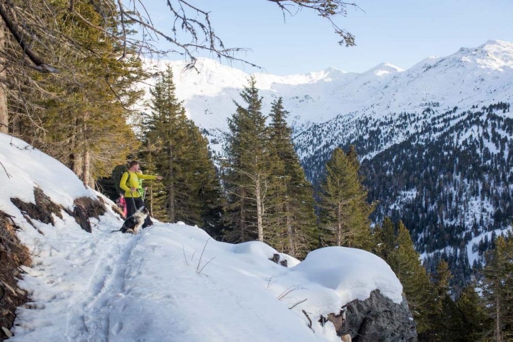 Auf einer Lichtung erklärt Sven die Bergwelt.