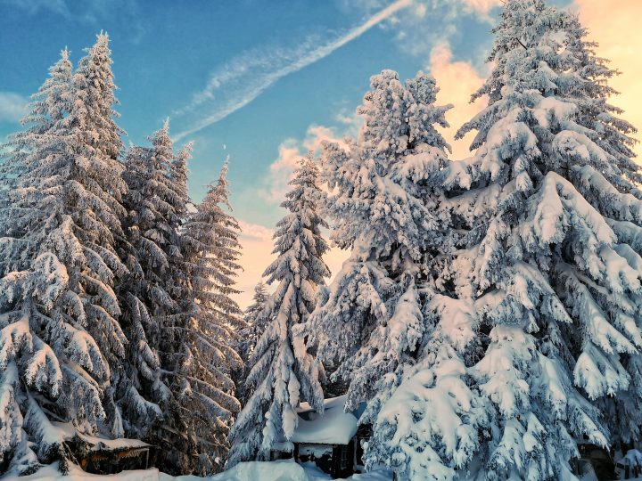 Verschneite Landschaft