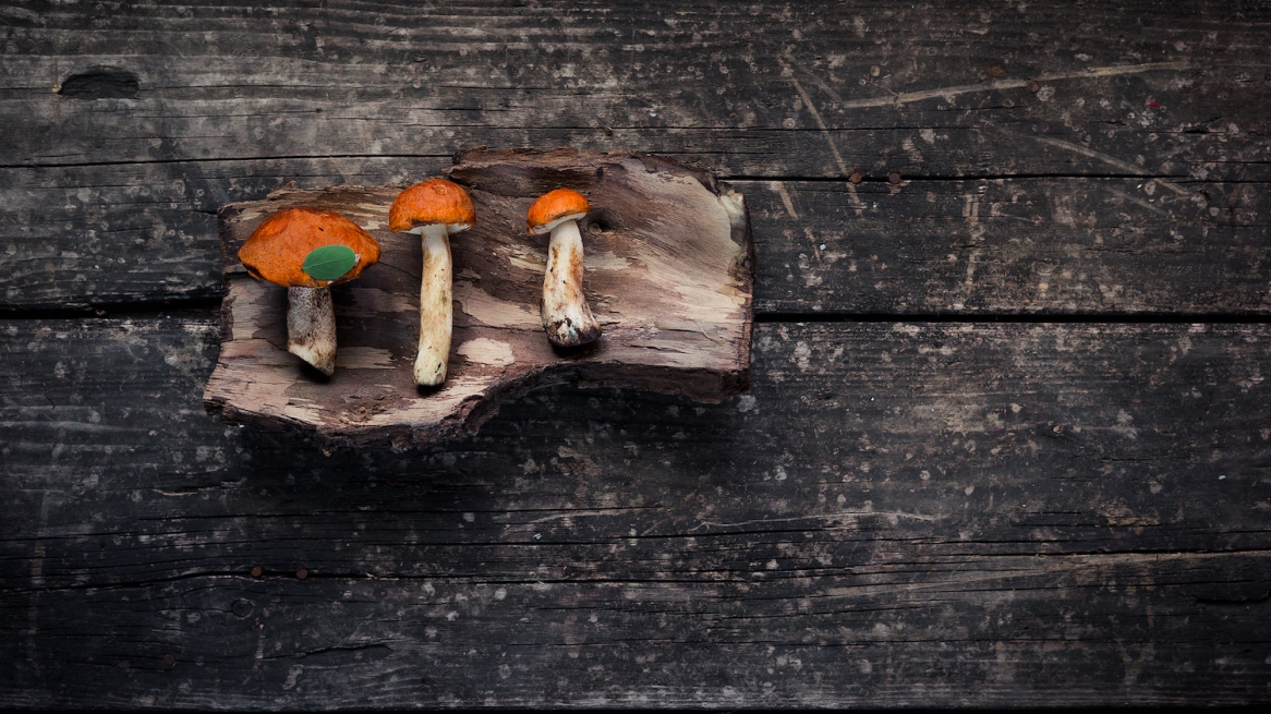 Shrooms