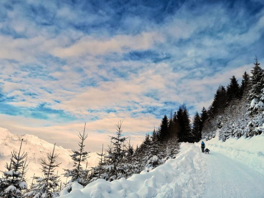 Winterlandschaft: WEg zur Rinner Alm
