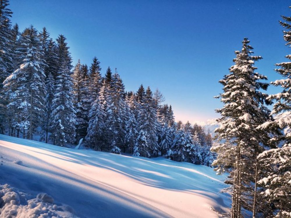 Weg zur Sistranser Alm