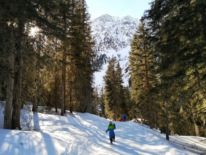 Gleirschalm