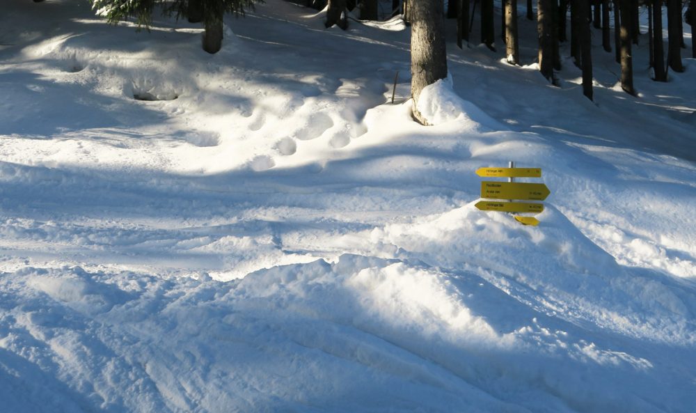 Towards the Umbrüggler Alm © Ichia Wu