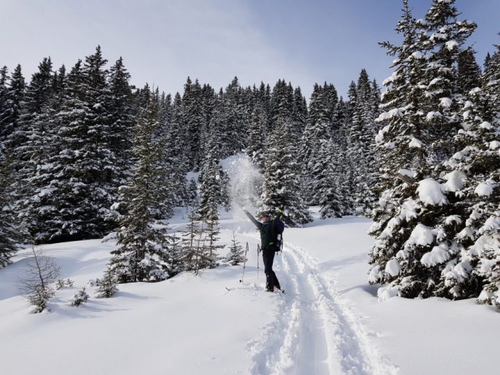 Skitour Rangger Köpfl Waldidylle