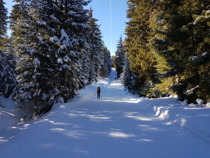 Skitour Rangger Köpfl durch den Wald
