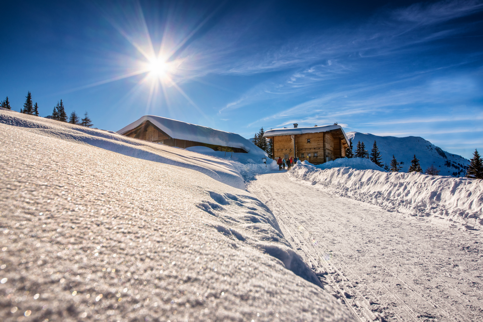 Birgitzer Alm